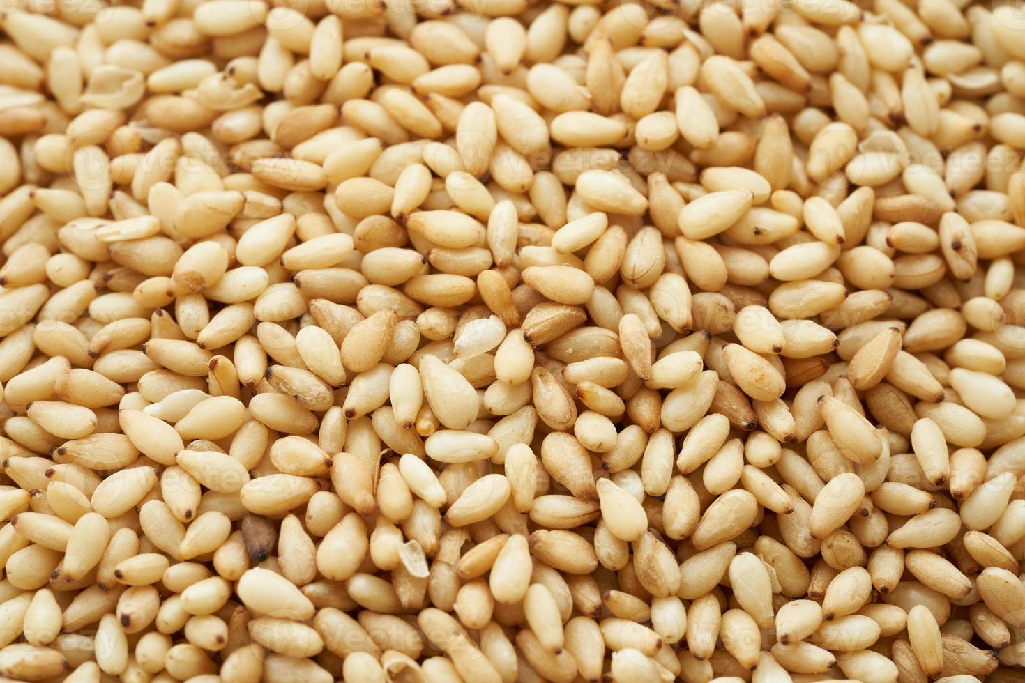 geröstet Sesam Samen Hintergrund. ein Stapel von Toast Sesam Samen. geröstet Sesam Hintergrund foto