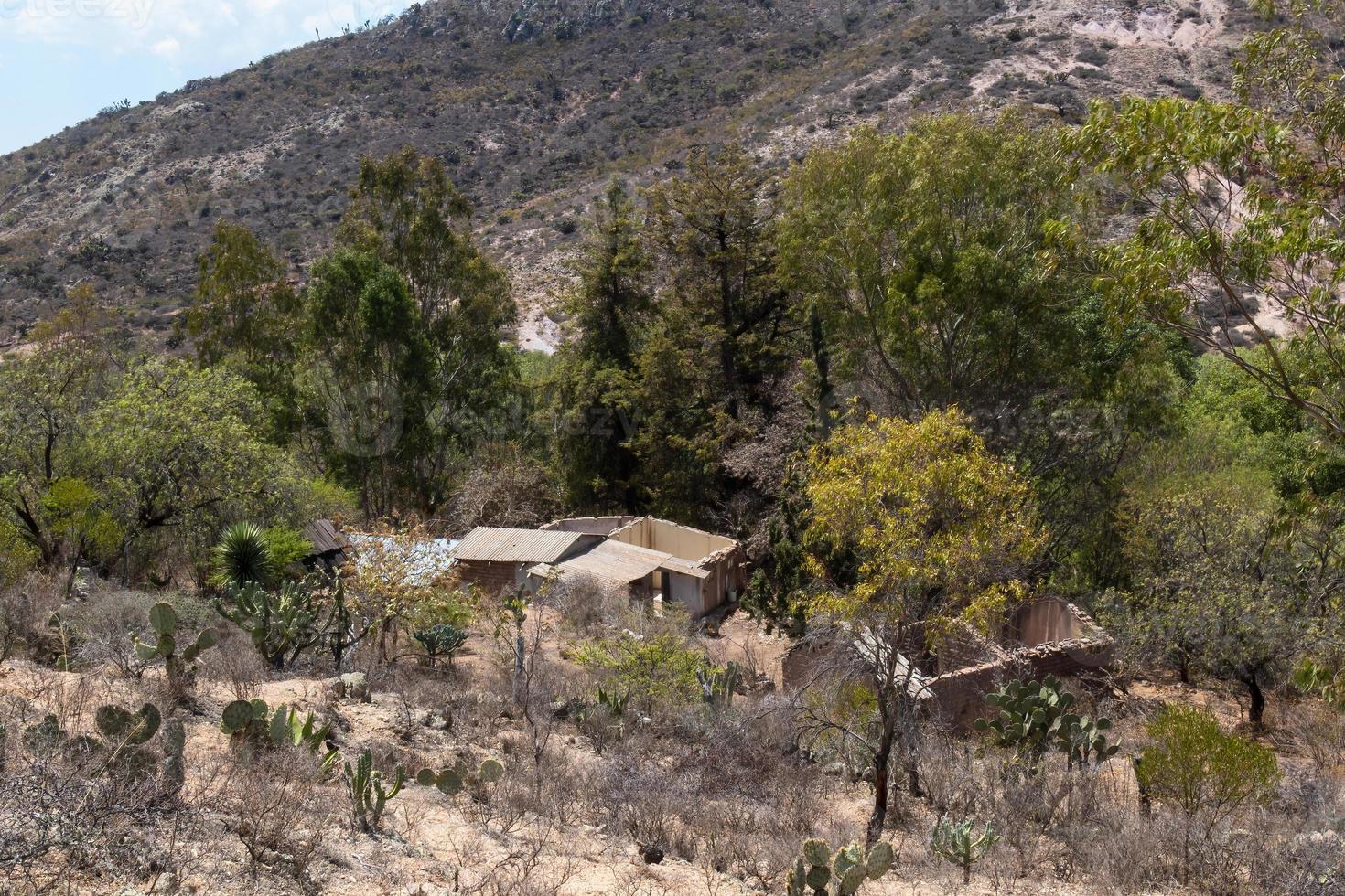 ein verlassen ländlich Haus im das Berge mit Kaktus foto