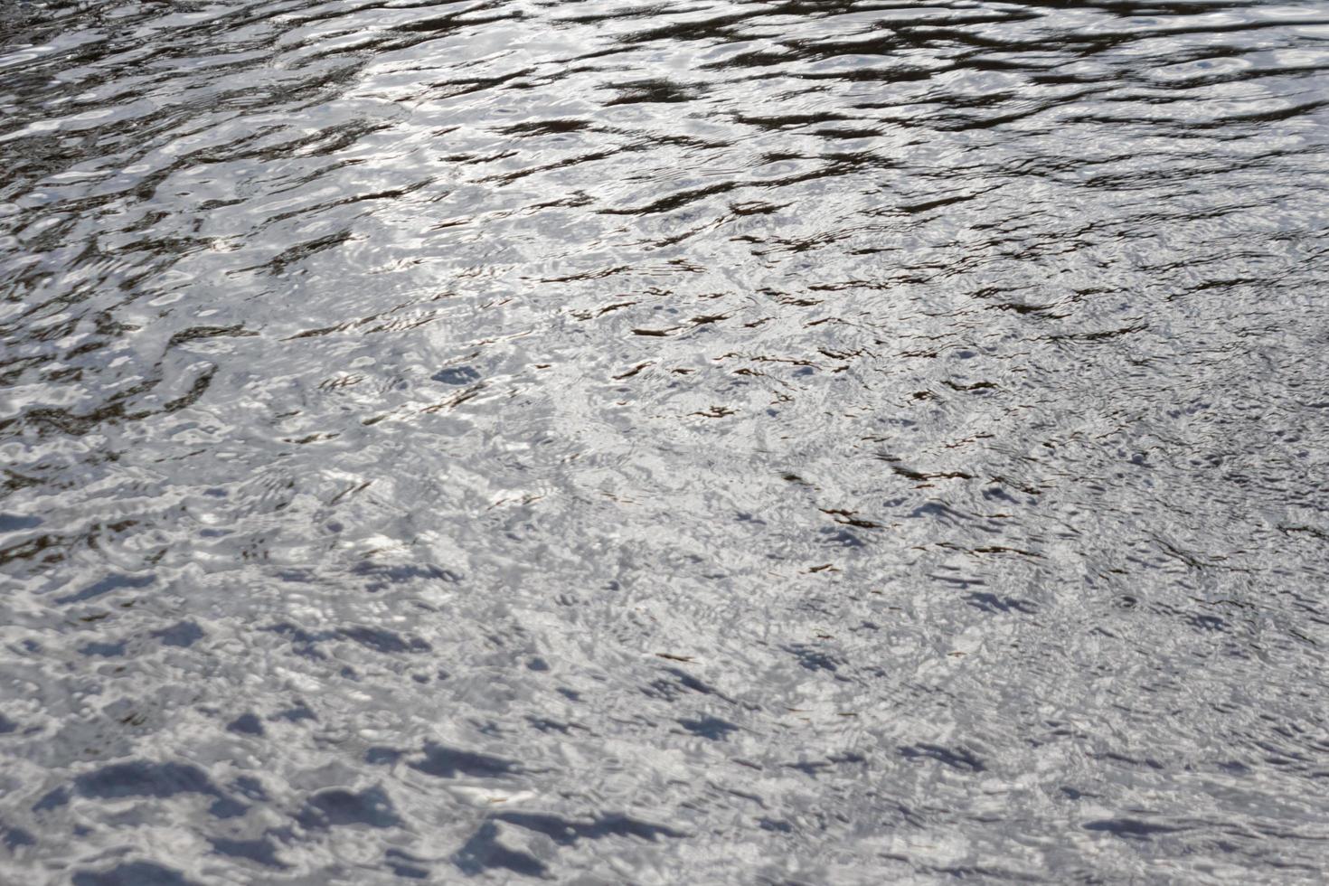 Teichwasseroberflächentextur foto