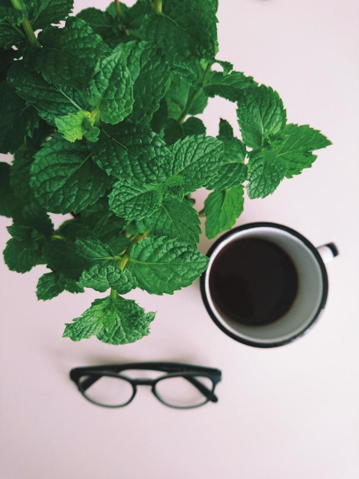 eine Tasse Kaffee mit Gläsern und grüner Blattpflanze foto