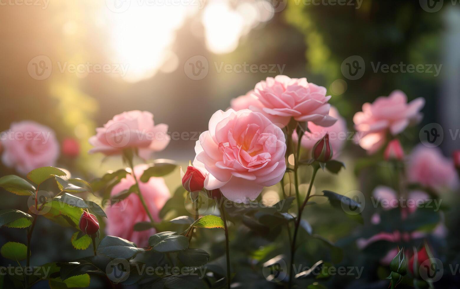 schön und bunt verträumt Rose Garten mit warm Beleuchtung. generativ ai. foto