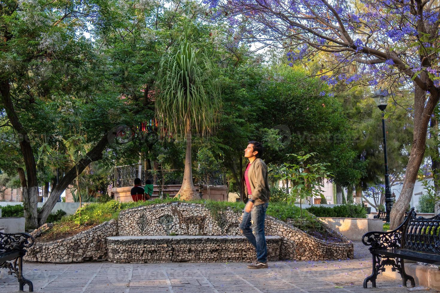 Mann steht im ein Park beim Mineral de pozos im Mexiko foto