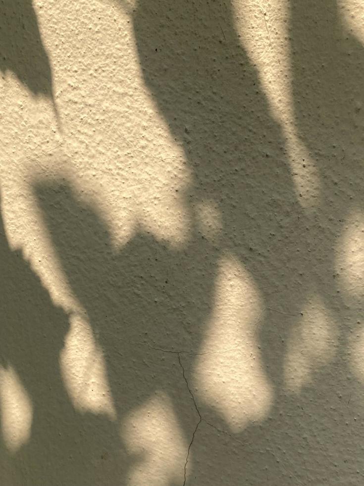 Blätter Schatten Hintergrund auf Beton Mauer Textur, Blätter Baum Geäst Schatten foto