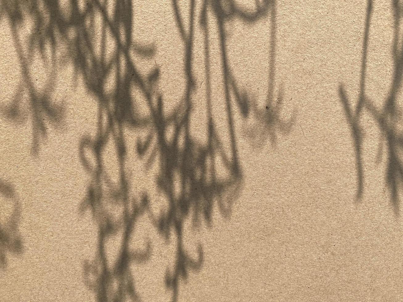 Blätter Schatten Hintergrund auf Beton Mauer Textur, Blätter Baum Geäst Schatten foto