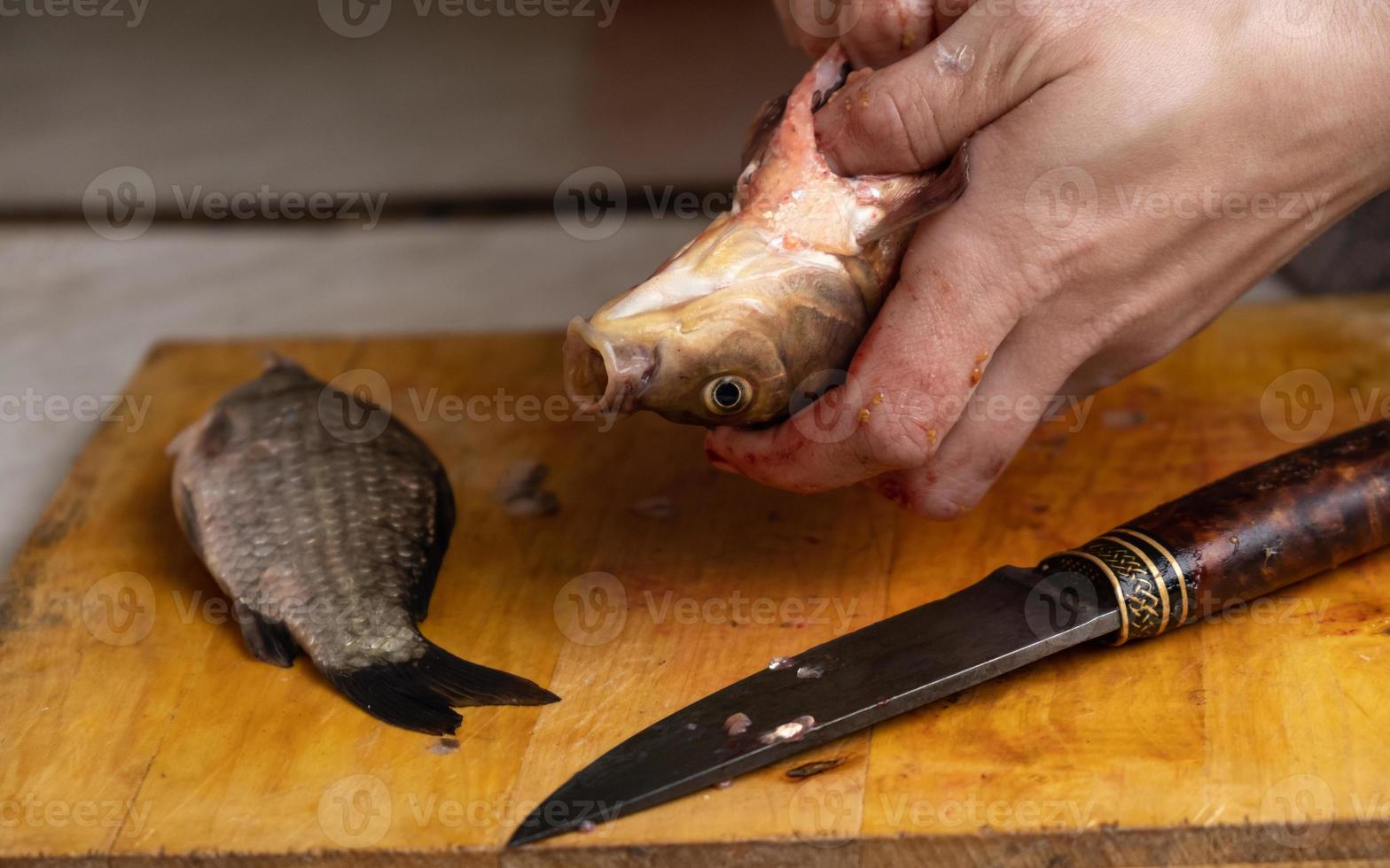Prozess des Reinigens und Schneidens von frischem lebendem Fisch. foto