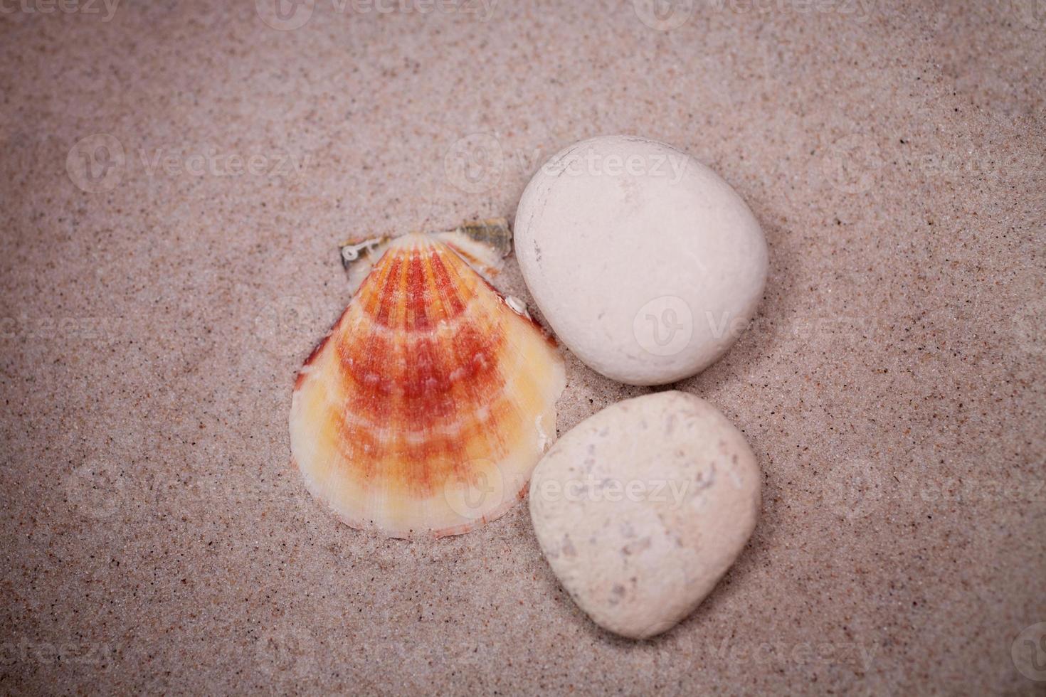 Schale Sand Hintergrund foto