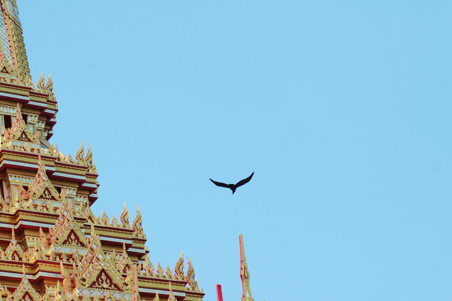 Vogel fliegend und Freiheit auf Blau Himmel in der Nähe von thailändisch Kunst Maßwerk Carving dekoriert auf golden Pagode im Tempel beim Thailand foto