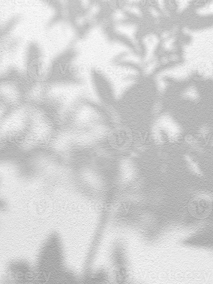 nahtlose Textur der weißen Zementwand eine raue Oberfläche und Blattschatten, mit Platz für Text, für einen Hintergrund foto