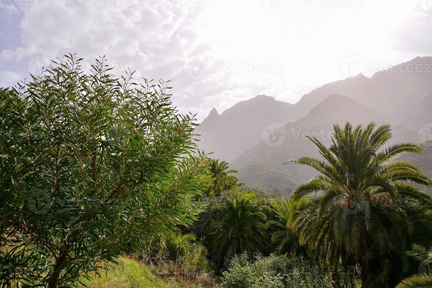 szenisch ländlich Landschaft foto