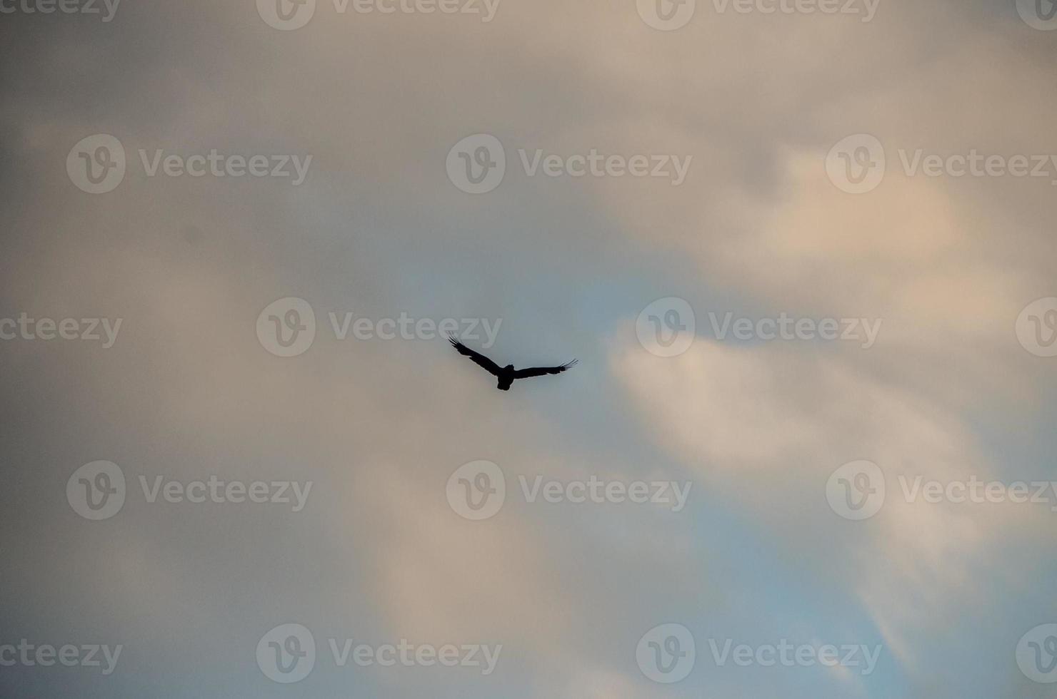 Wolken im Himmel foto