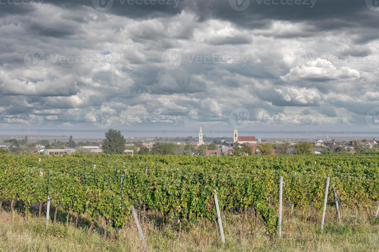 berühmt Wein Dorf von Rost Burgenland, Neusiedler Siehe, Burgenland, Österreich foto