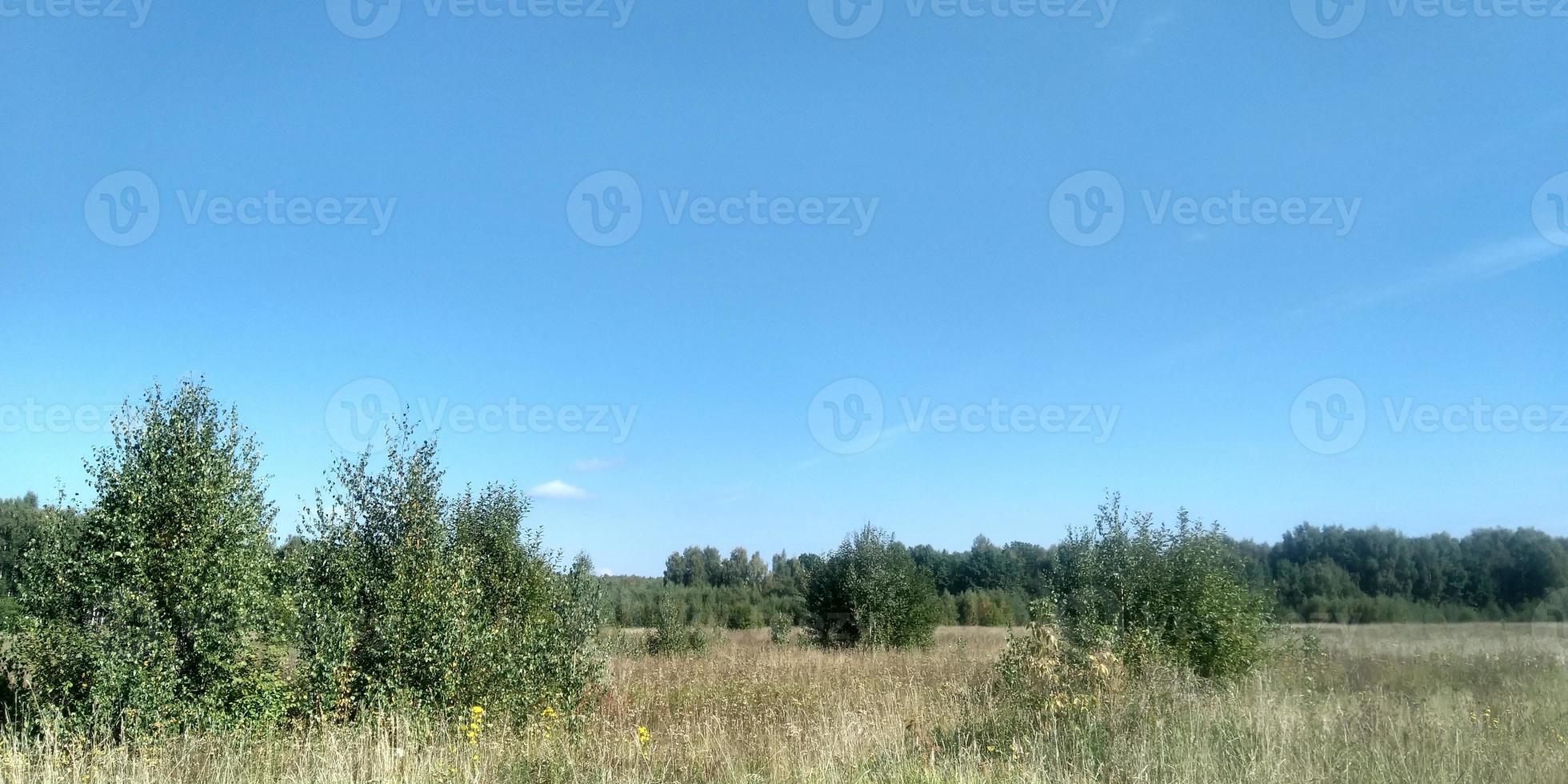 schön Landschaft. Natur Bild Hintergrund. Frühling Natur. Blau klar Himmel. Sonnenlicht und flauschige Wolken. Feld und Wiese. foto