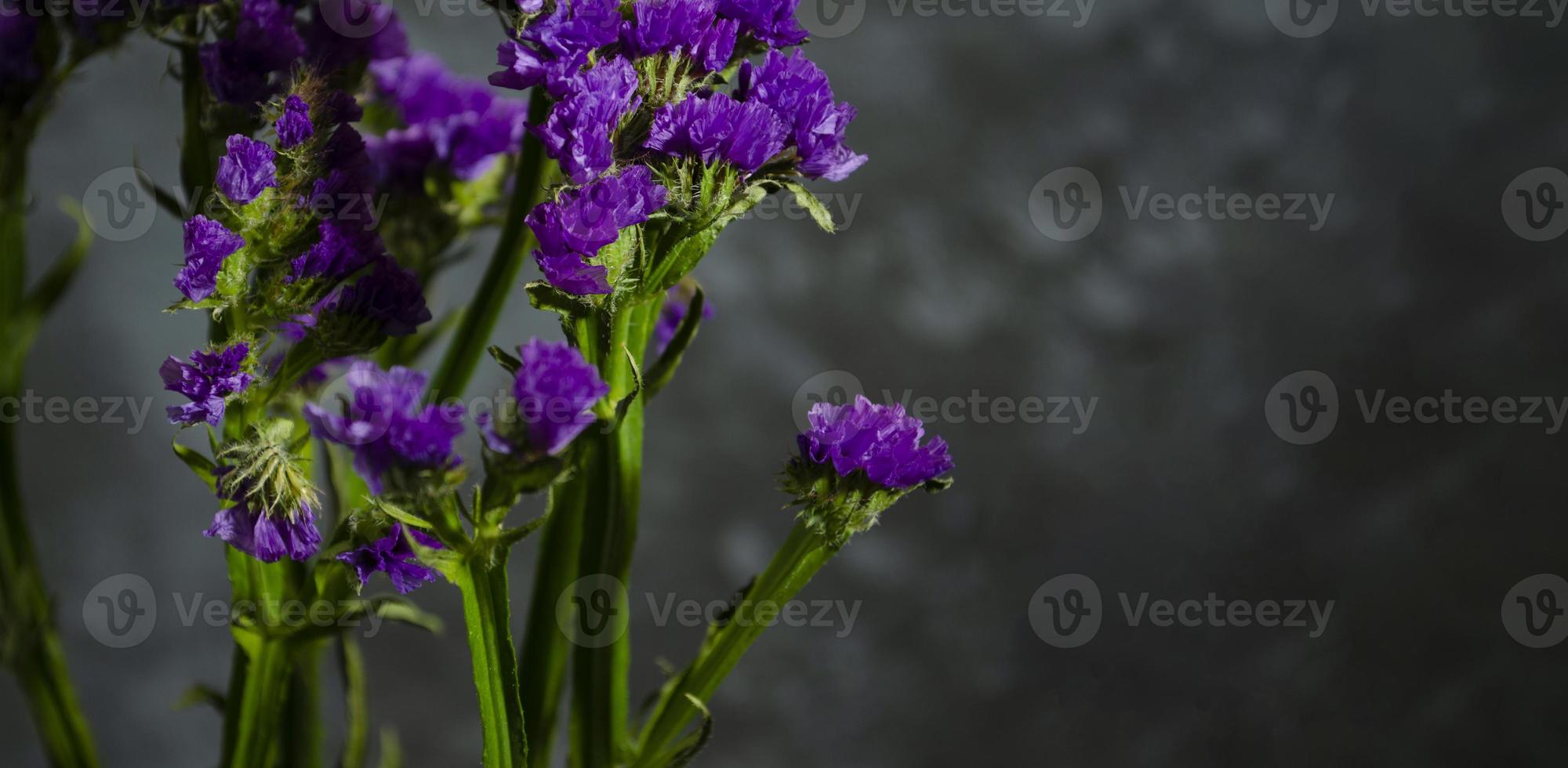 Wellenblatt Meer Lavendel, Statik, Limonium. Blau Blume Nahaufnahme. schön Wildblumen. foto