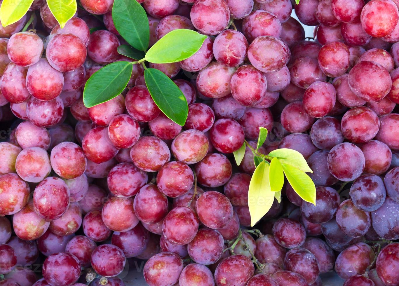 frisch rot Traube Obst foto