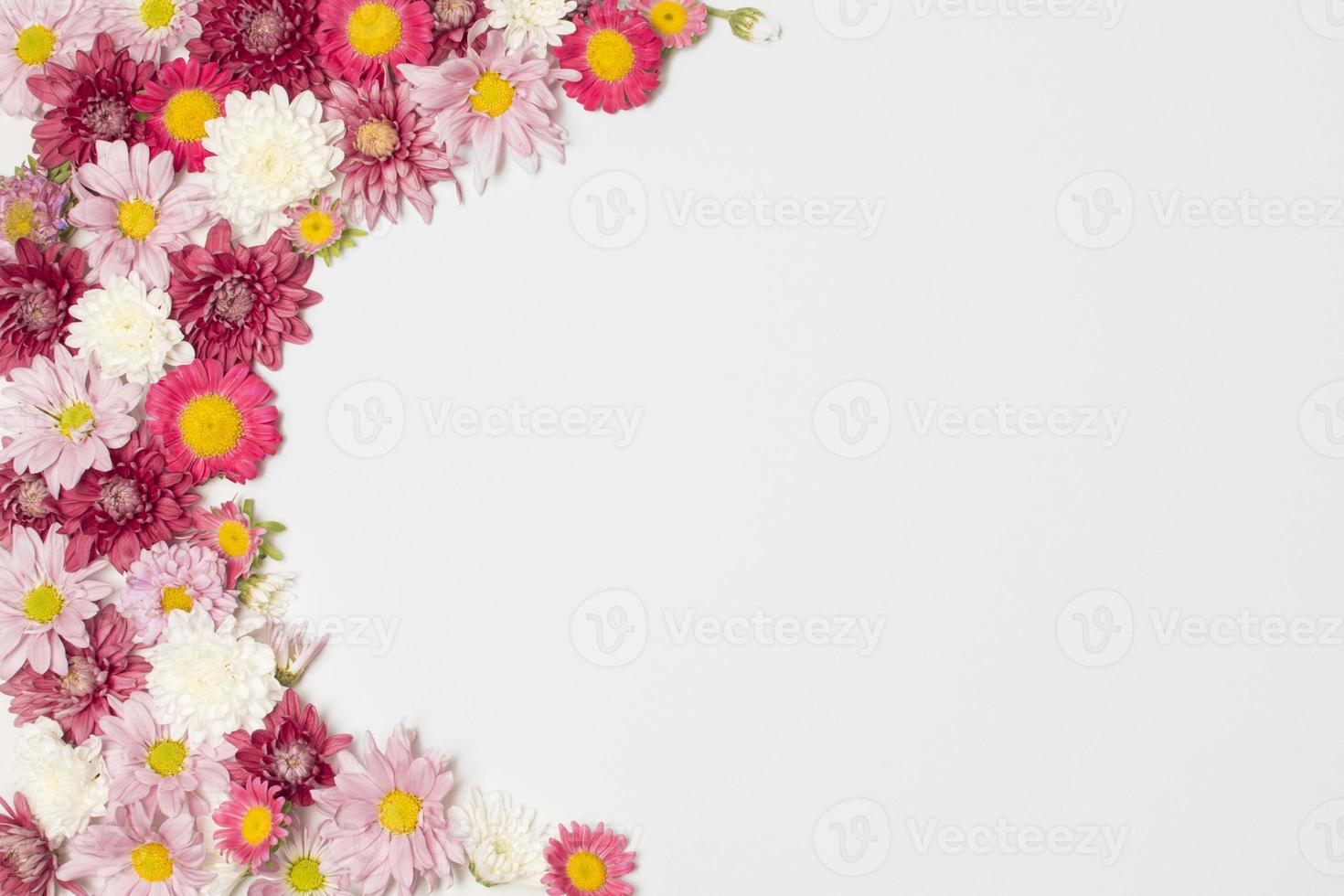 Zusammensetzung der wunderbaren bunten Blumenblüten foto