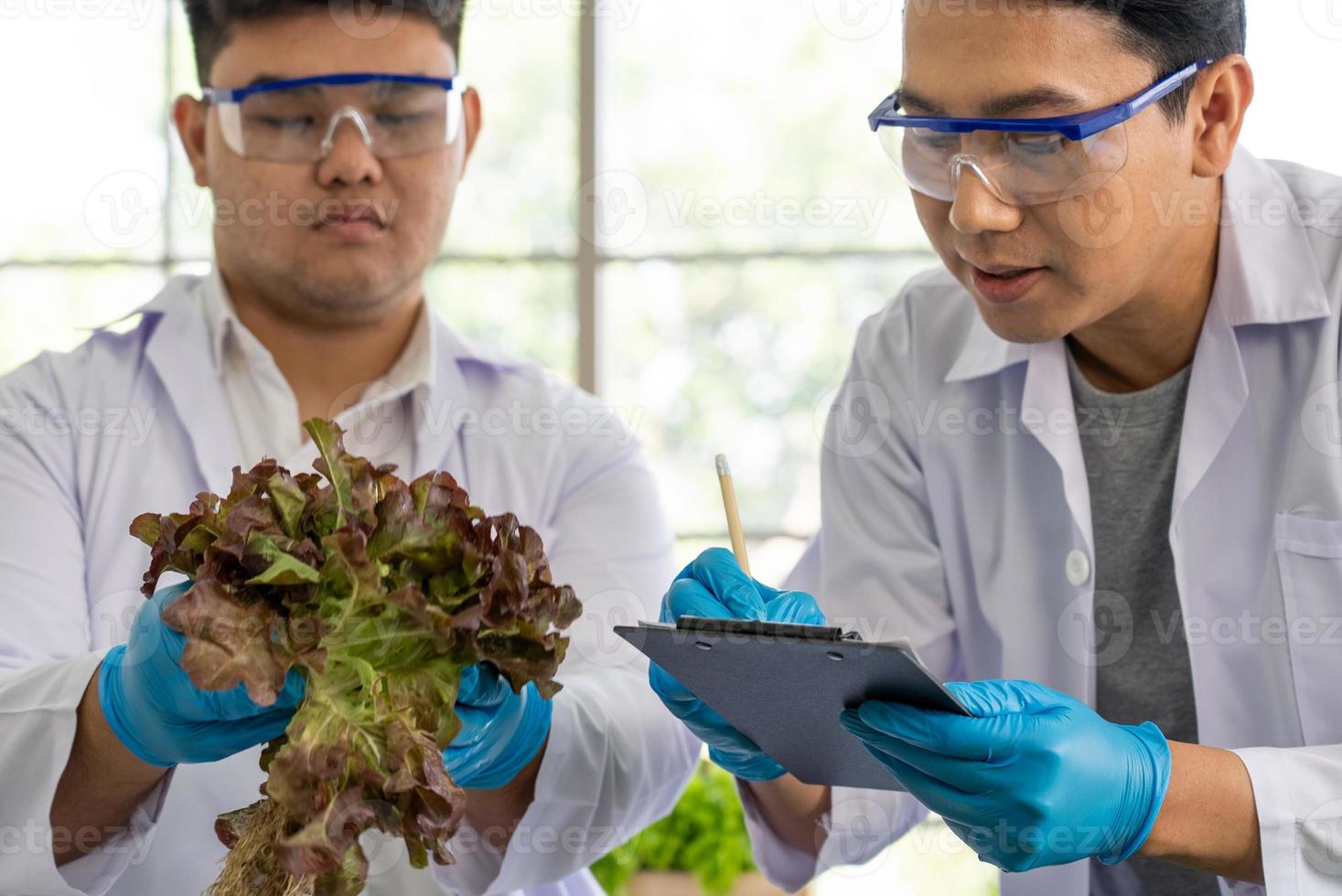 Wissenschaftler Mannschaft tun Experiment im Landwirtschaft Labor zu entwickeln genetisch Änderung Pflanzen foto