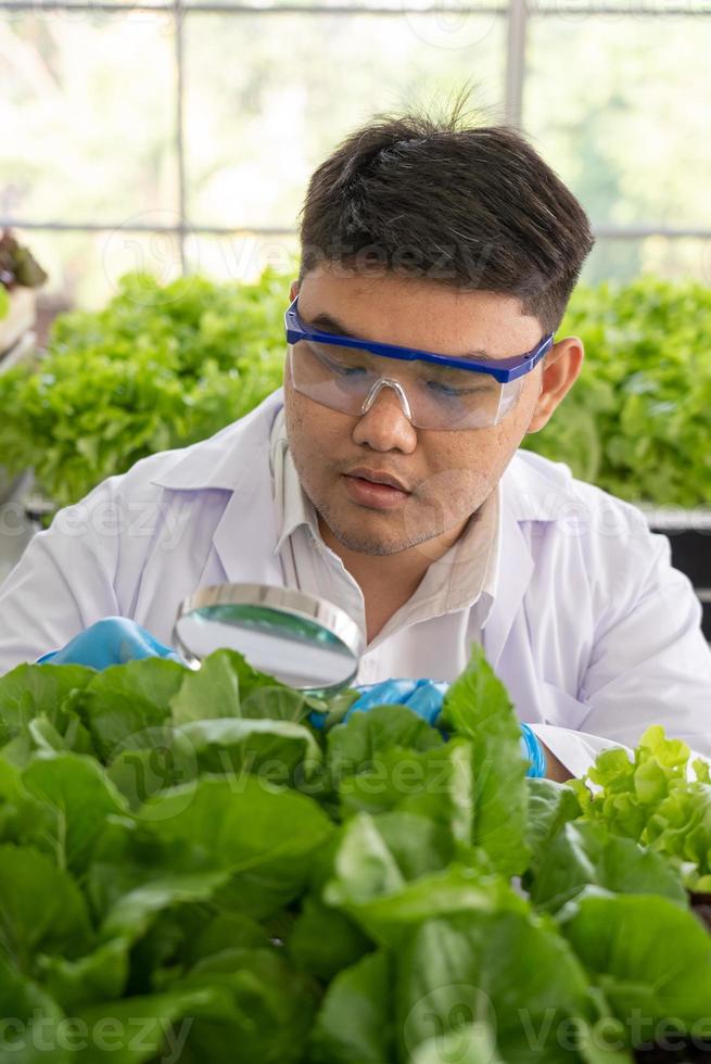 Porträt von Wissenschaftler tun Experiment im Landwirtschaft Labor zu entwickeln genetisch Änderung Pflanzen foto