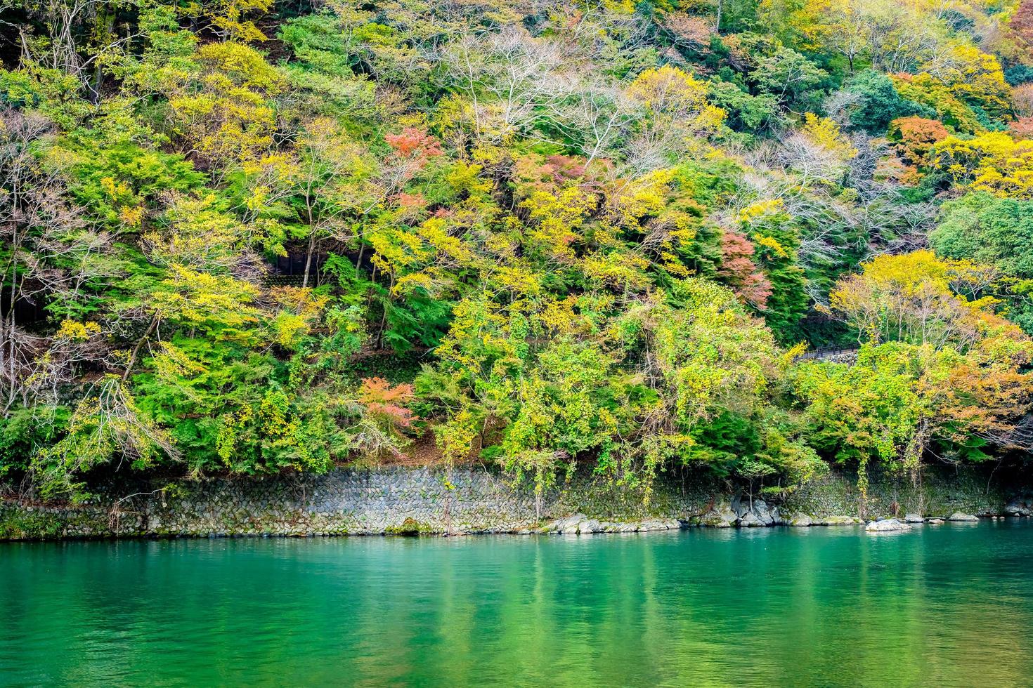 schöner arashiyama Fluss mit Ahornblättern foto