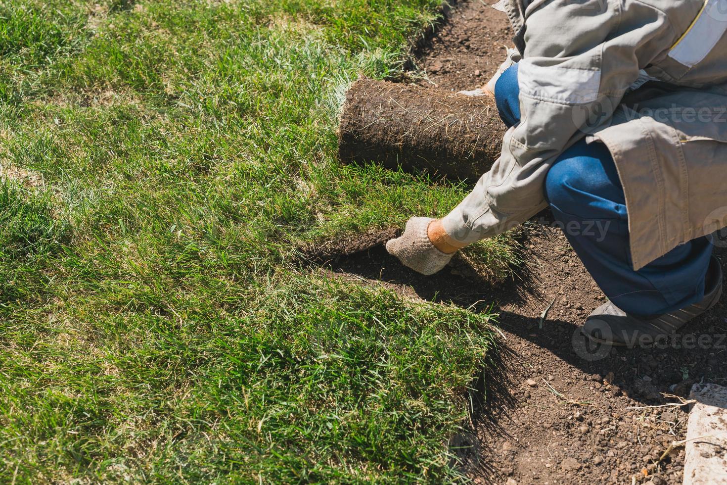 Nahaufnahmemann, der Rasenrollen für neuen Gartenrasen legt foto