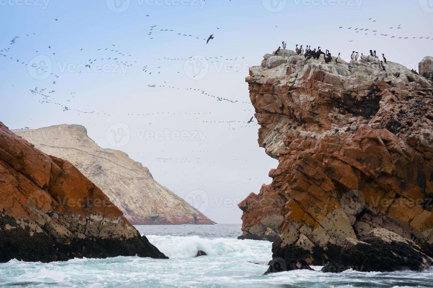 Ballestas Insel in Peru foto