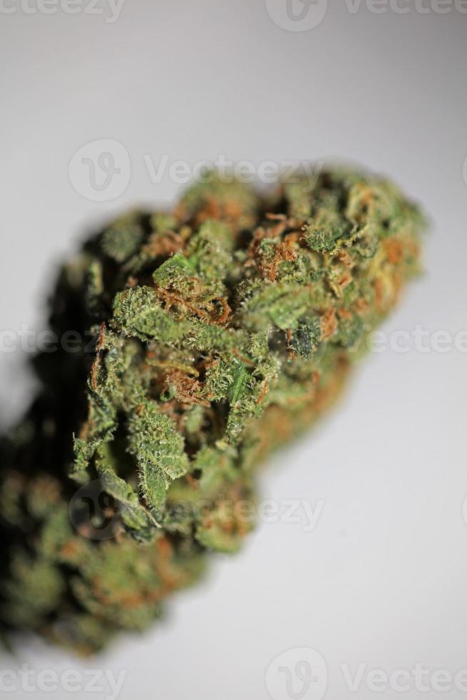 medizinisch Marihuana Blume schließen oben Cannabis Knospe Gras rein pharmazeutische Dope Belastung Super Zitrone Dunst botanisch Hintergrund groß Größe hoch Qualität Rauchen druckt foto