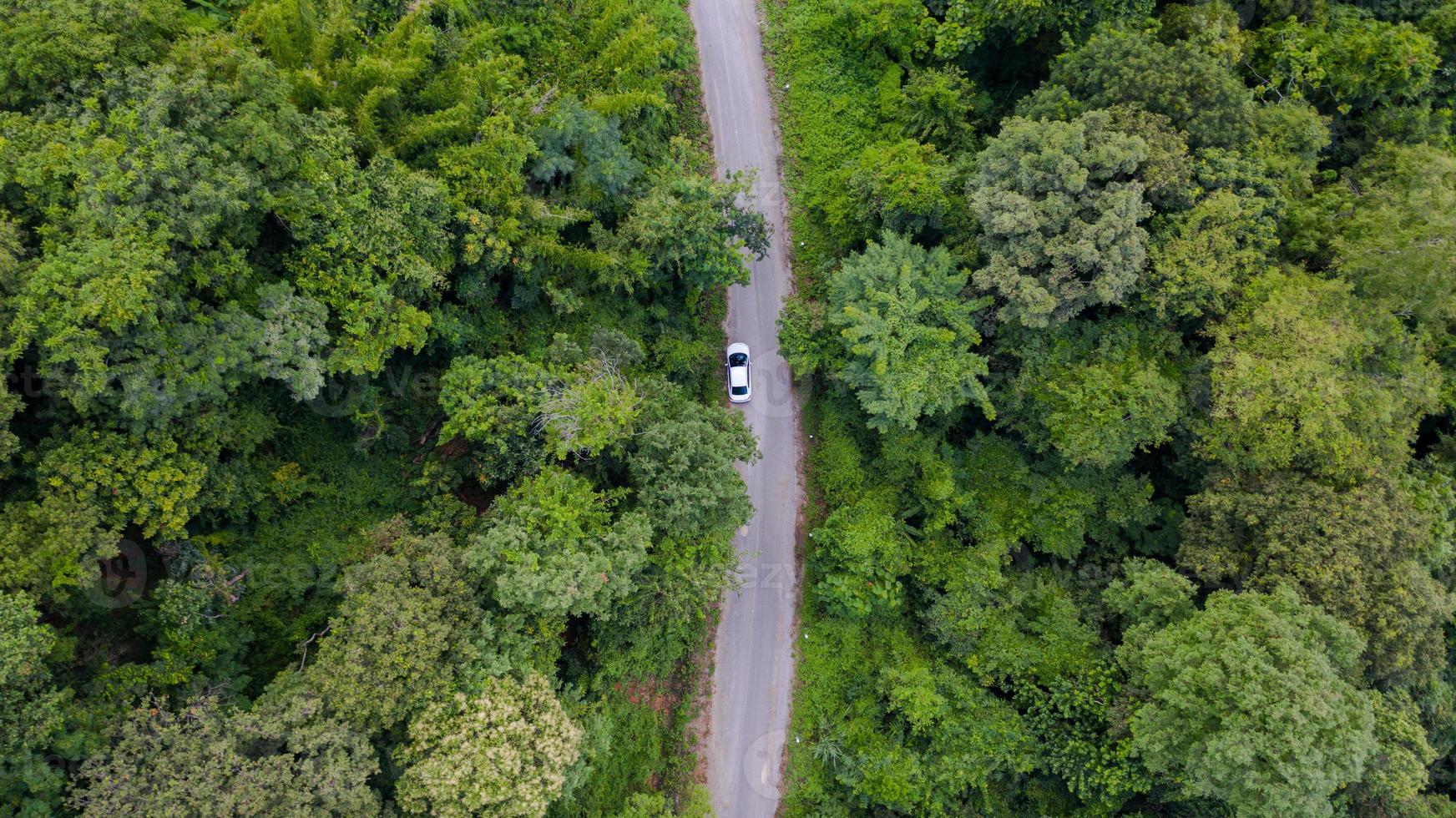 Luft Draufsicht Auto, das durch den Wald auf Landstraße fährt, Blick von Drohne foto