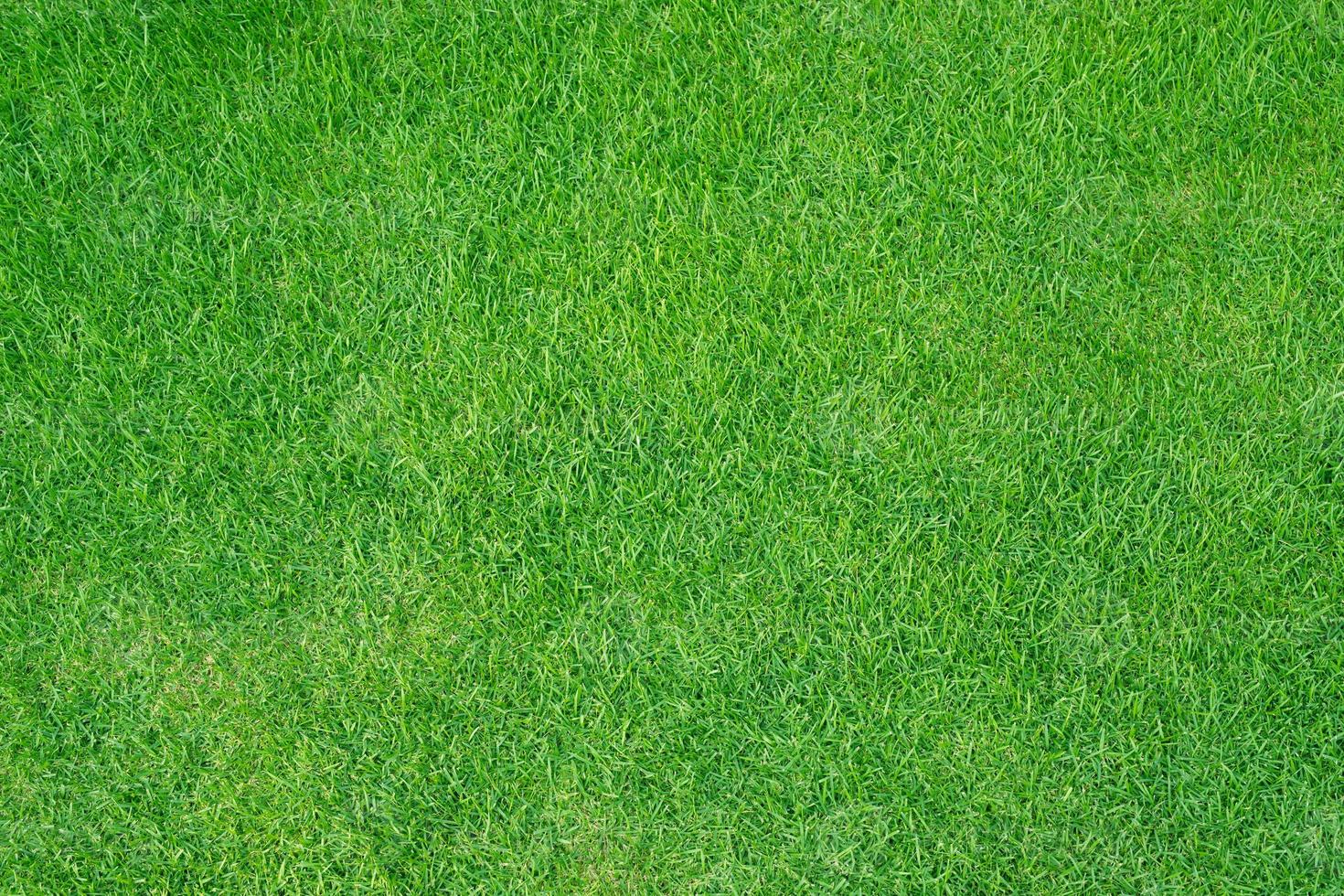 künstlich Gras Feld Wiese grün. oben Aussicht Textur. foto