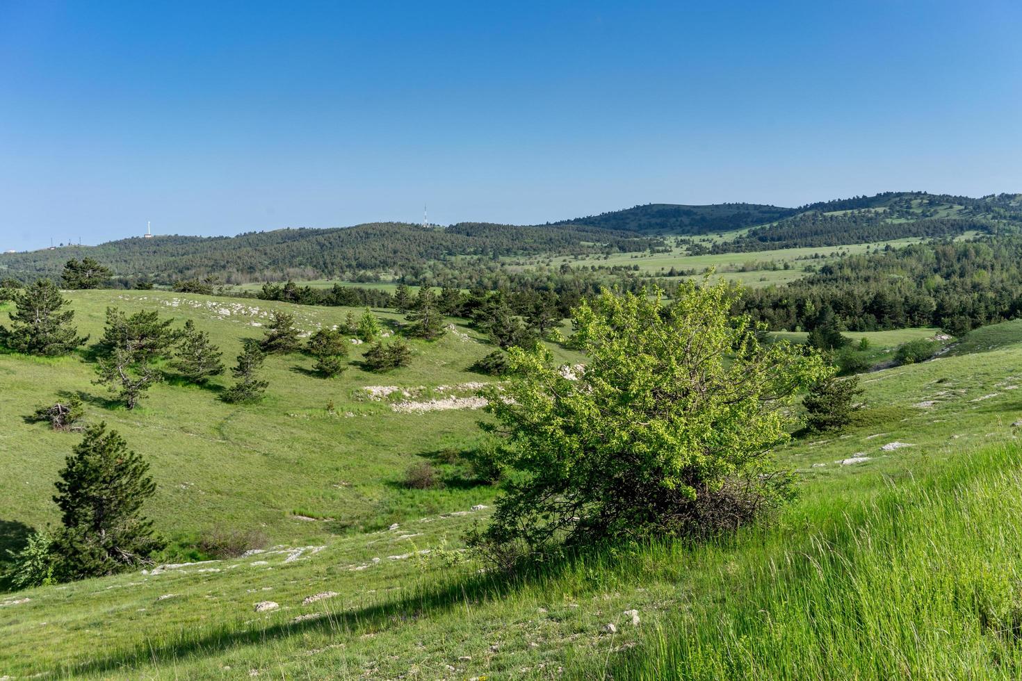 Landschaft mit Hügeln mit grünem Gras bedeckt foto