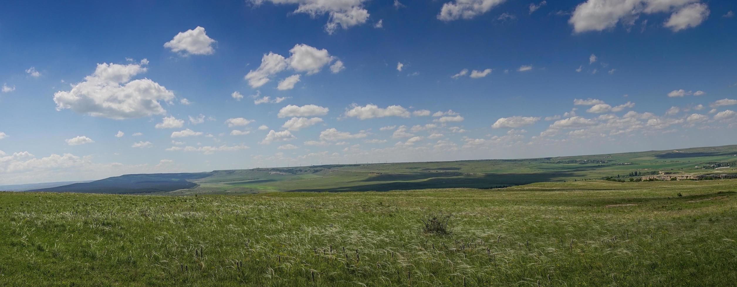 Panorama der Steppenlandschaft mit Gras foto