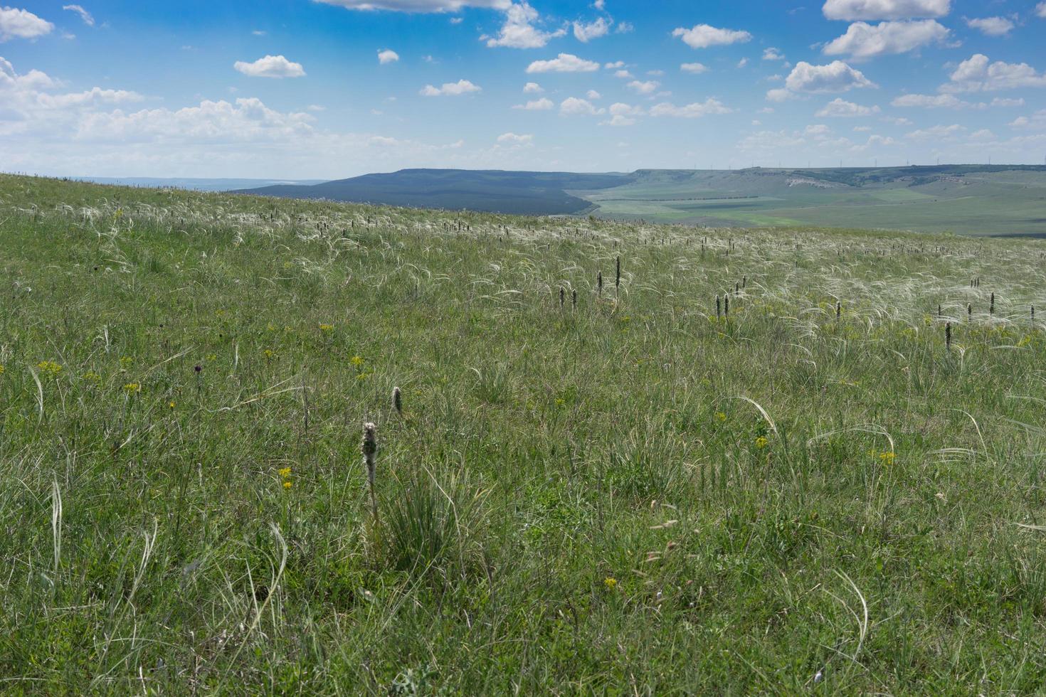 Panorama der Steppenlandschaft mit Gras foto