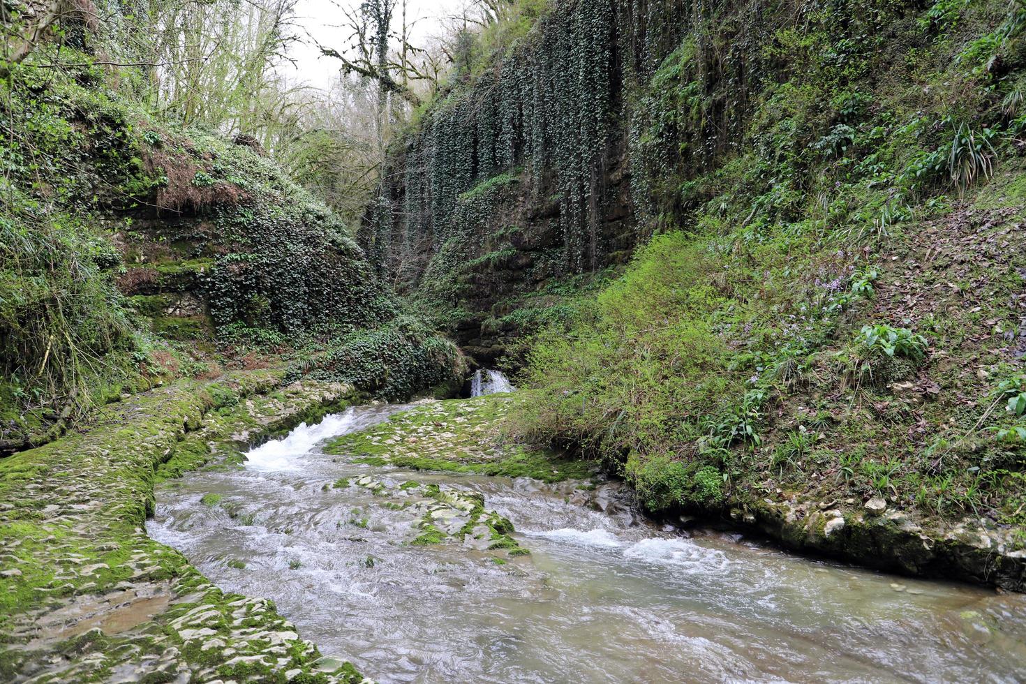 Aussicht von klar Blau Strom von Wasser von Berg Fluss läuft zwischen steil hoch Banken bewachsen mit Reben und Wald im früh Frühling. foto