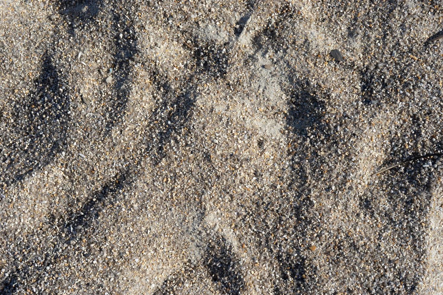 natürlicher Hintergrund mit Sandbeschaffenheit foto