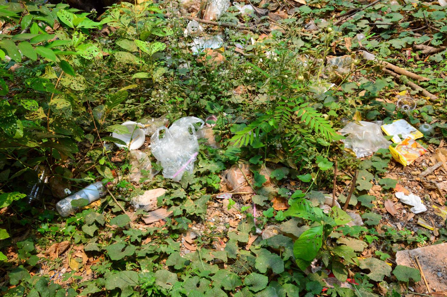 Plastik Abfall. Grün Wald. Ökologie. global Erwärmen. foto