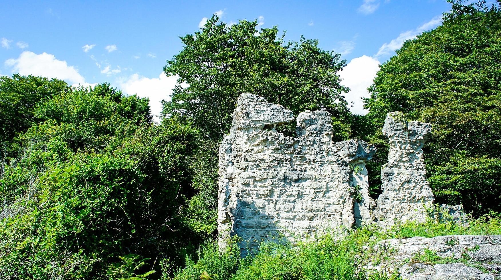 Naturlandschaft mit Ruinen auf dem Hintergrund der Bäume. foto