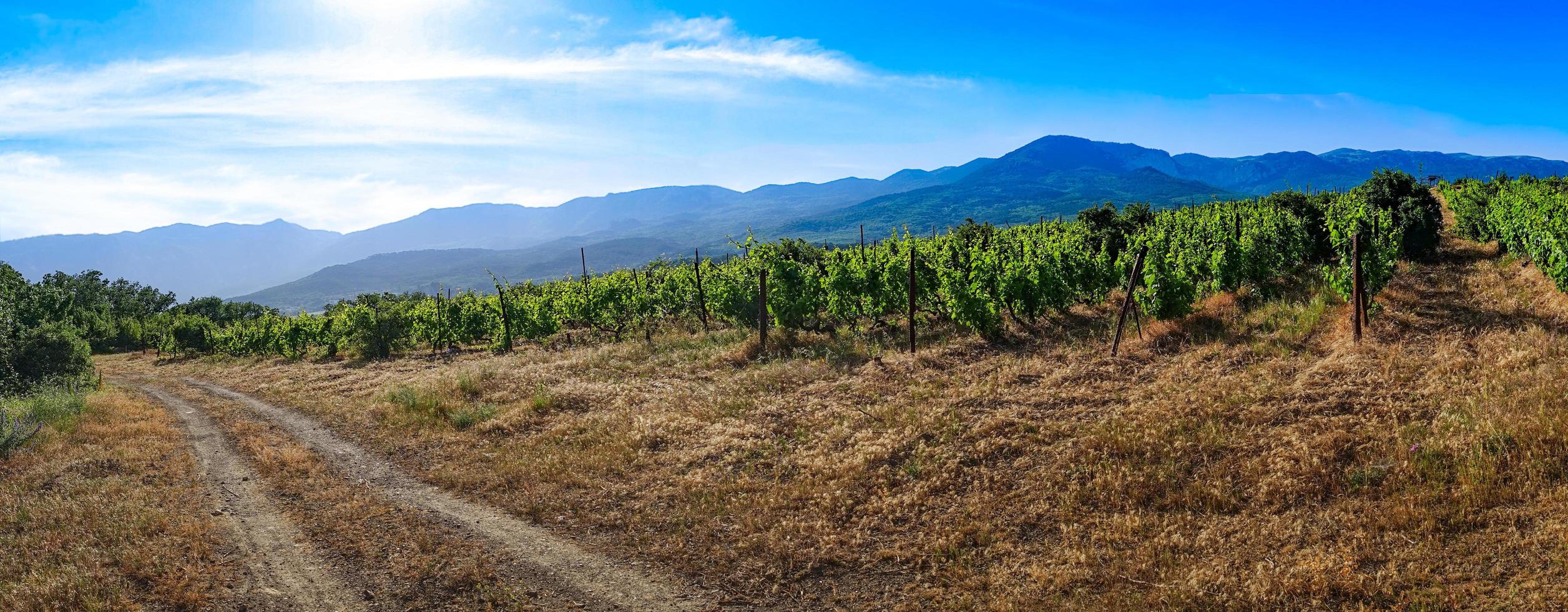 Panorama der Naturlandschaft mit der Straße. foto