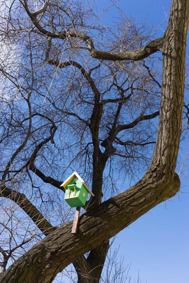 Stadtlandschaft mit Vogelhäusern auf dem Hintergrund von Bäumen ohne Blätter. foto