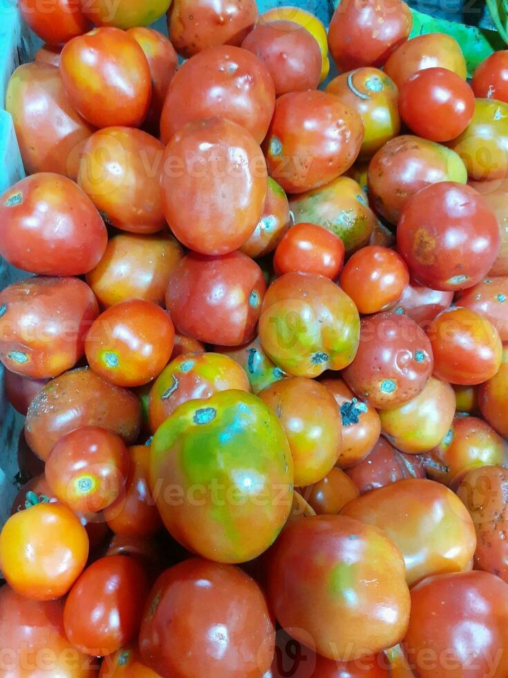 reif Tomaten im Korb bereit zum Verkauf. foto