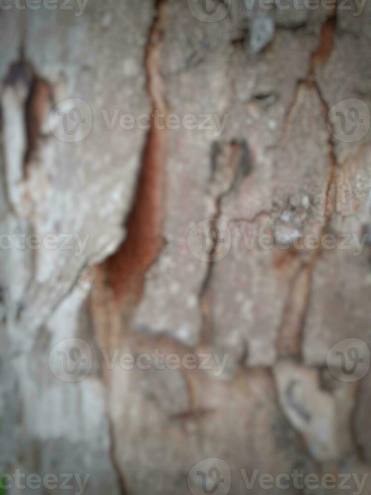 unscharf stellen trocken braun Baum bellen. foto