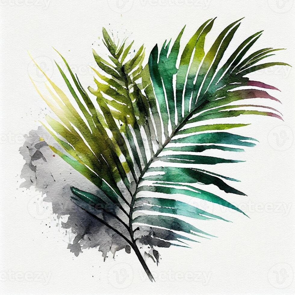 Monstera Palme Blätter tropisch Plakate Aquarell Farbe spritzt foto