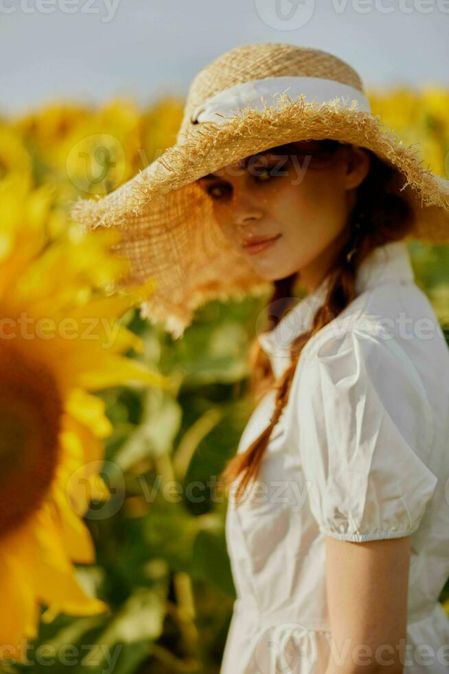 schön Süss Mädchen Spaziergänge durch ein Feld von Sonnenblumen Sommer- Zeit foto