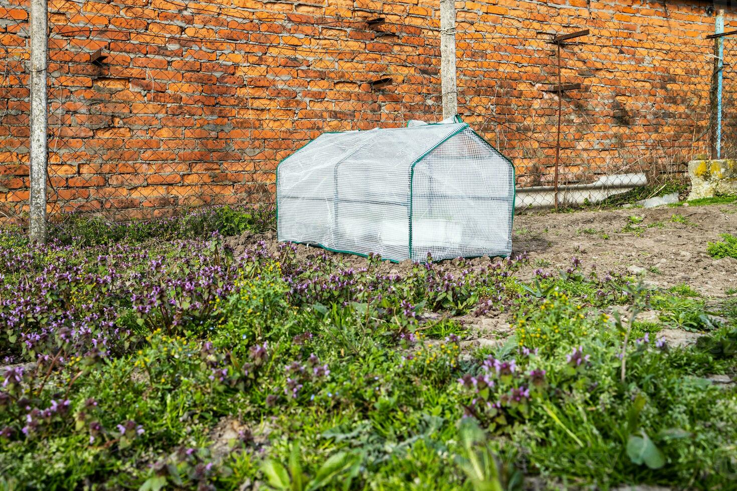 klein Handy, Mobiltelefon Film bedeckt Gewächshaus im Garten foto