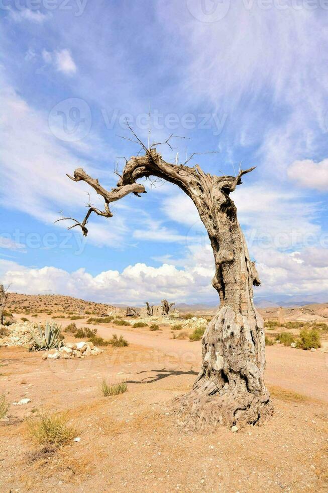 malerische Wüstenansicht foto