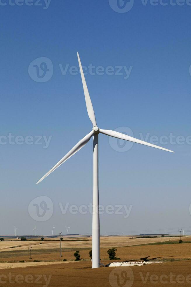 Windkraftanlagen auf einem Feld foto