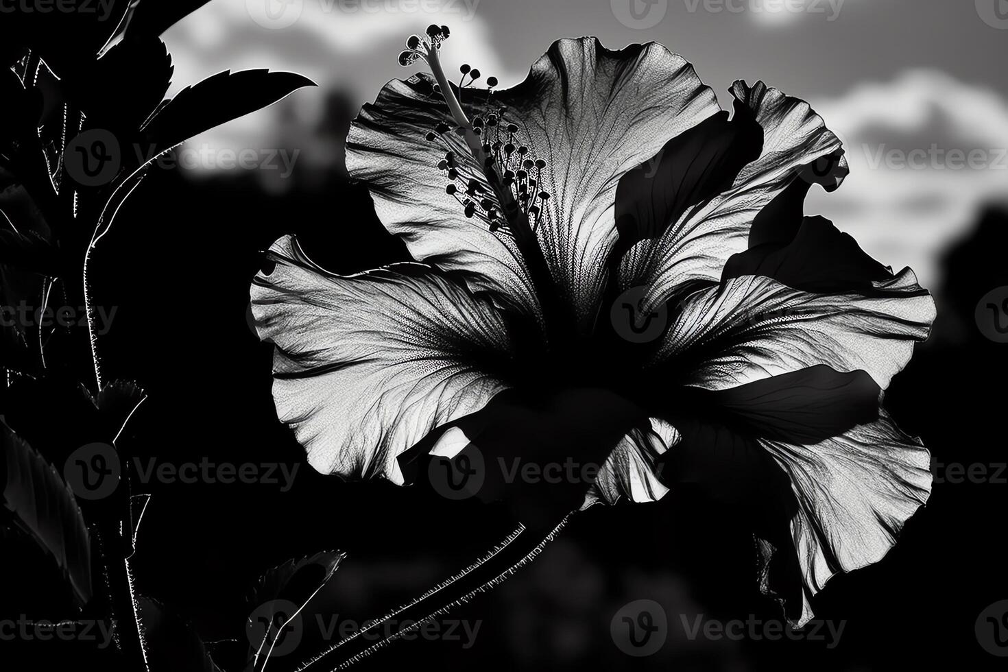 Silhouette von ein Hibiskus Blume. ai generiert foto