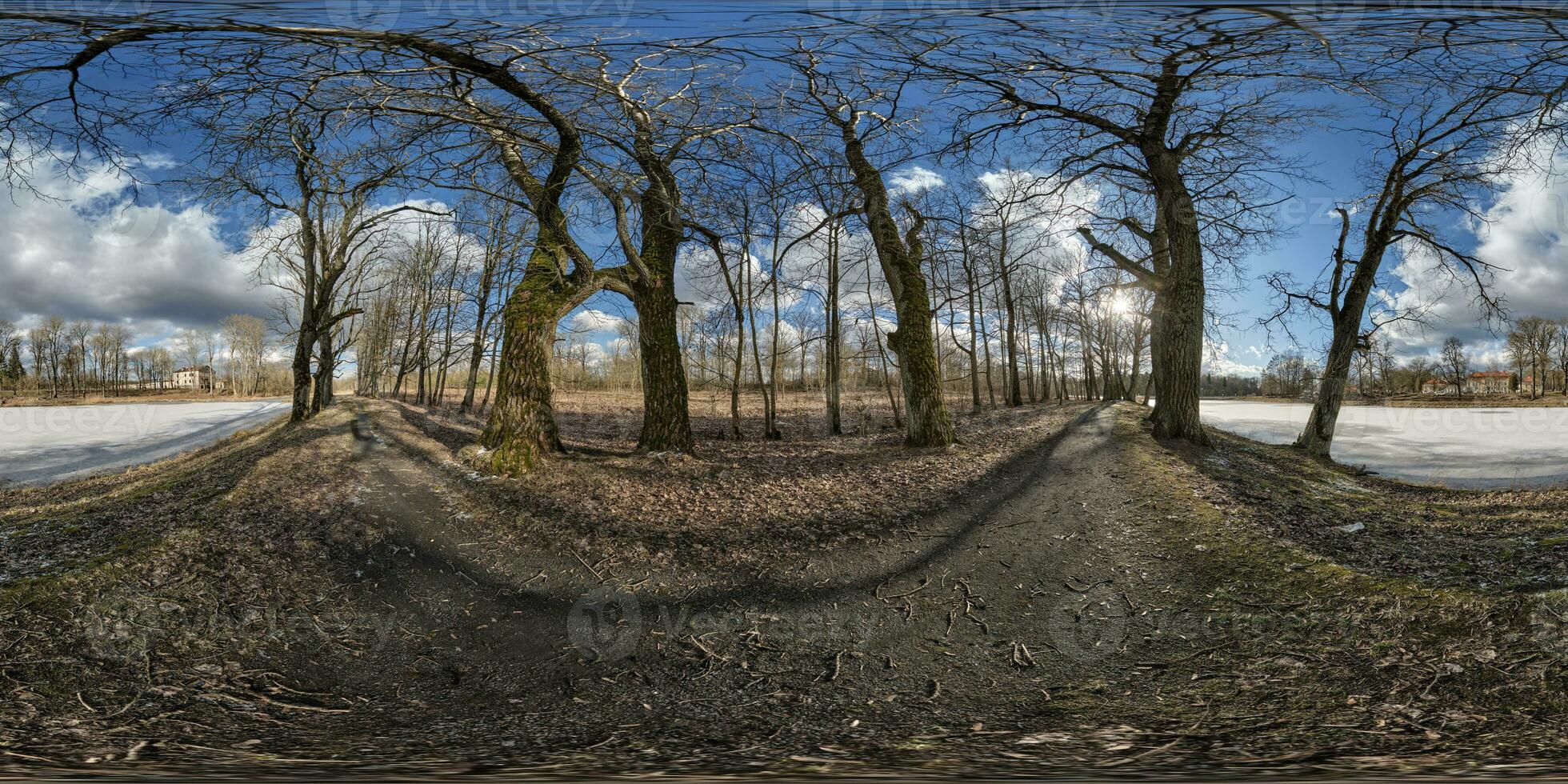 voll nahtlos kugelförmig hdri 360 Panorama Aussicht auf Fußgänger Gehen Pfad unter Eiche Hain mit ungeschickt Geäst in der Nähe von See im gleichwinklig Projektion mit , bereit vr ar Inhalt foto