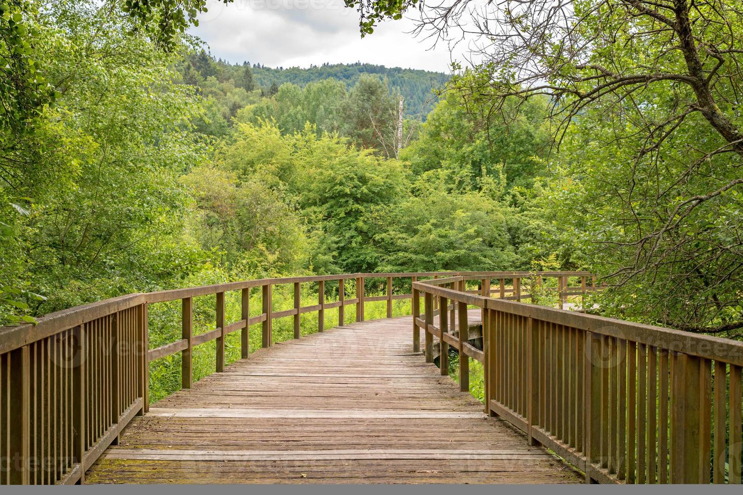 Holzbrücke über eine Wiese foto