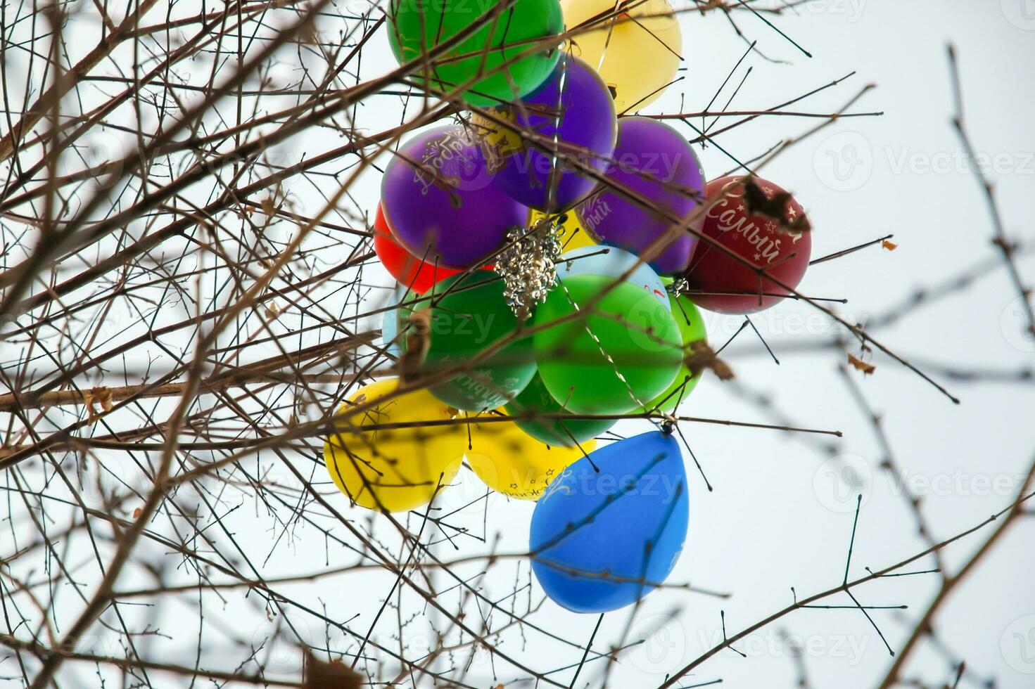 mehrfarbig Luftballons stecken im Baum Geäst foto