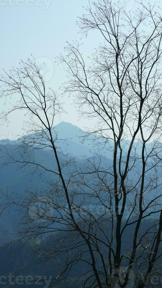 das schön Berge Aussicht von das oben von das Hügel im Frühling foto