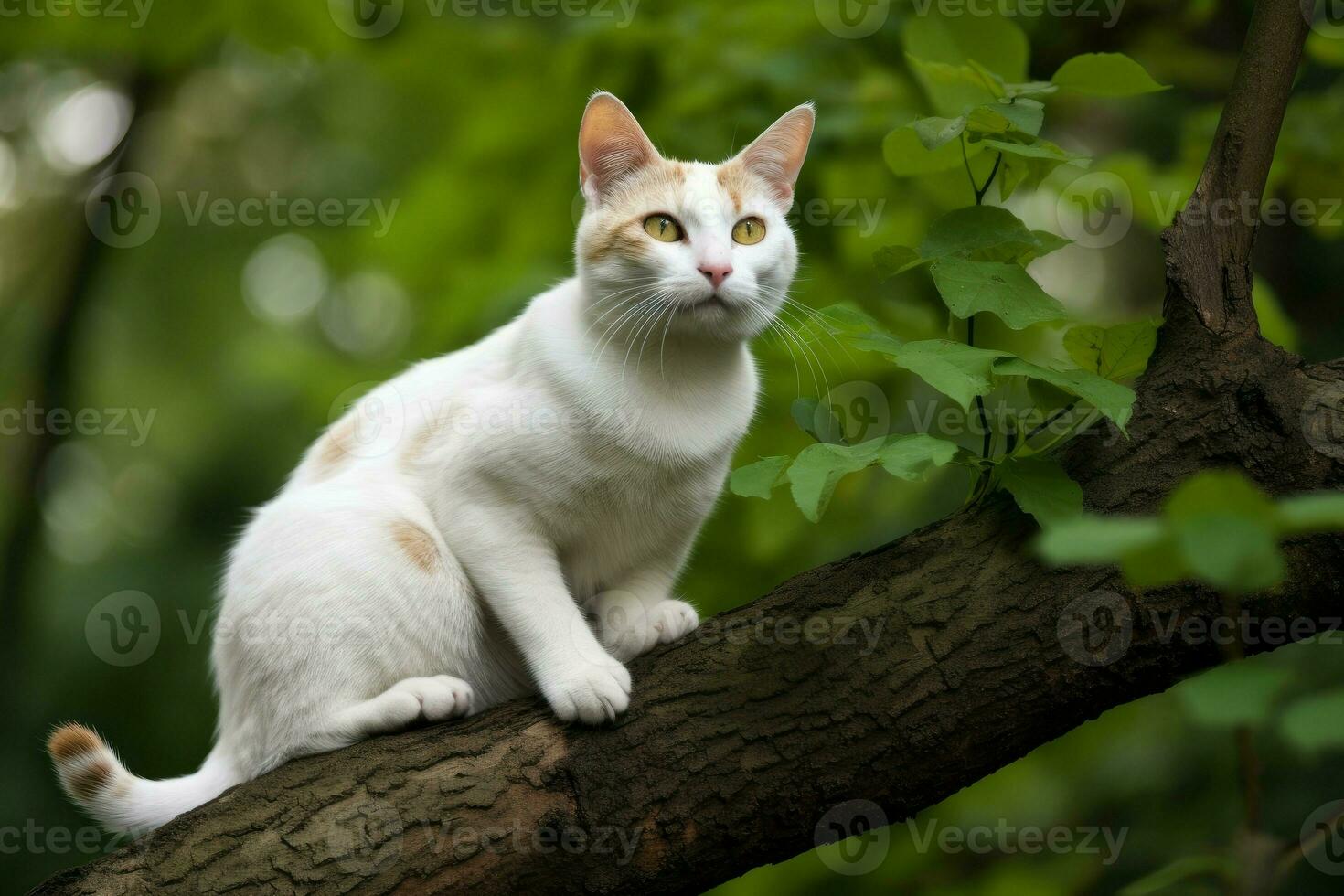 Weiß Katze auf Baum Ast. generieren ai foto