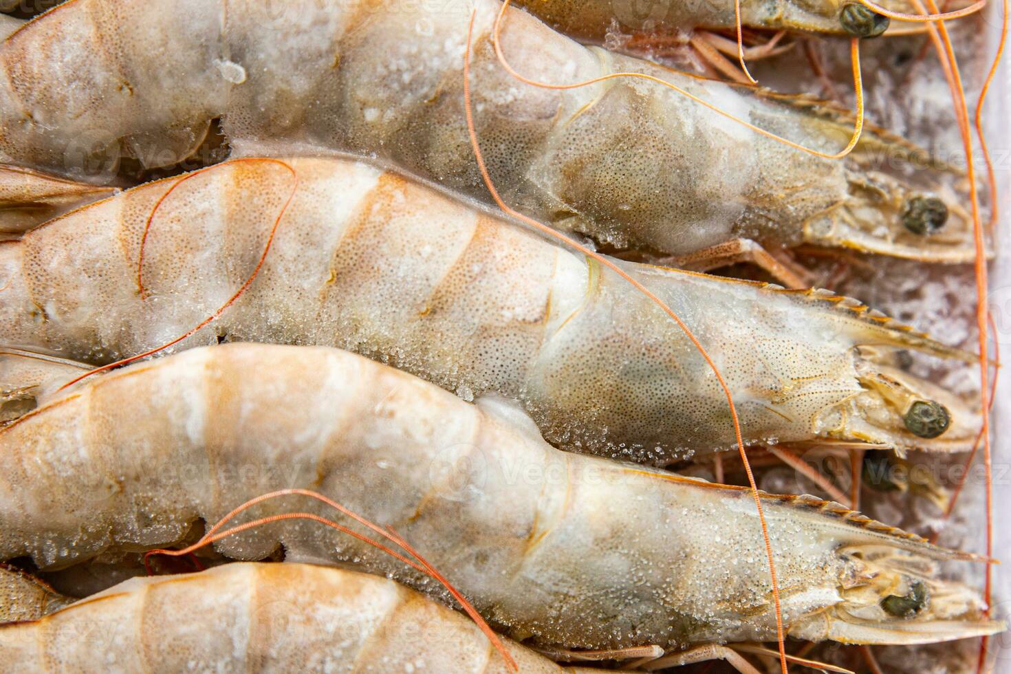 Gambas roh gefroren im Eis groß Garnele Meeresfrüchte Garnele Mahlzeit Essen Snack pescatarian Diät auf das Tabelle Kopieren Raum Essen Hintergrund rustikal oben Aussicht Keto oder Paläo foto